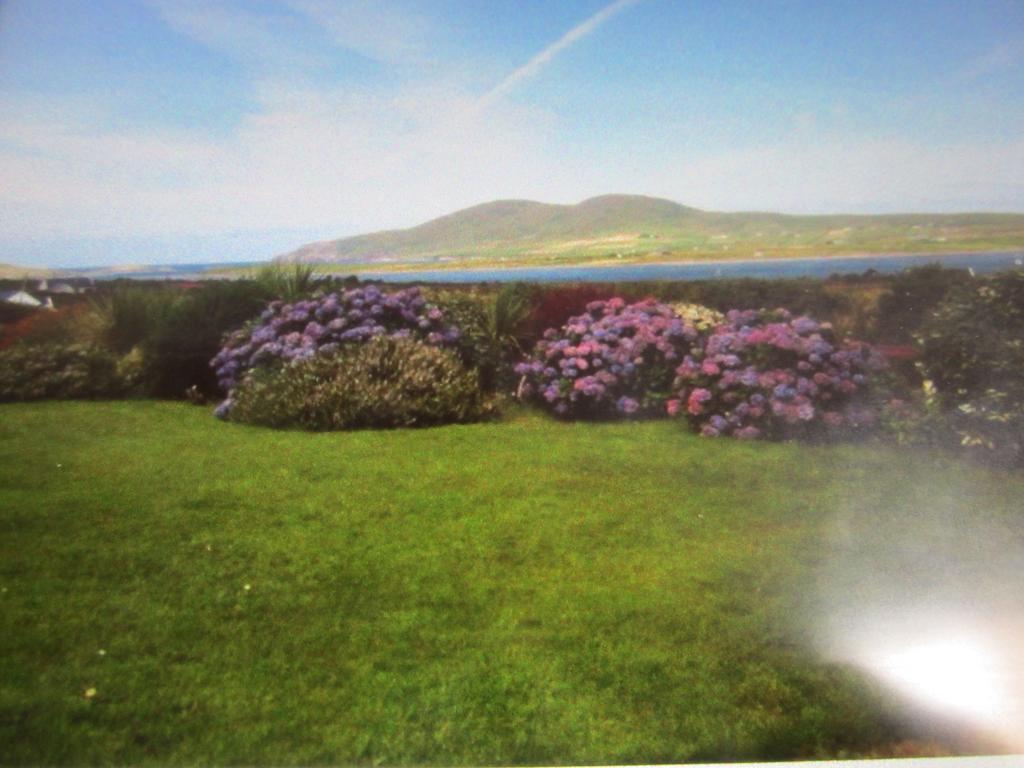 Ocean View B&B Killarney Buitenkant foto